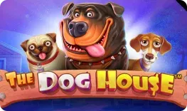 Spinit – The Dog House